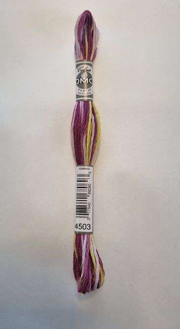 Hovedbilde Moulinè garn 4503